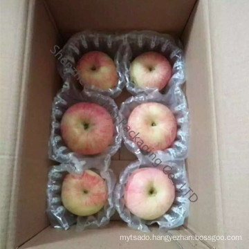 Courier Bag for FUJI Apple Packaging Bag